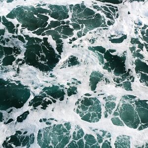 Meet your Posher, Amelia